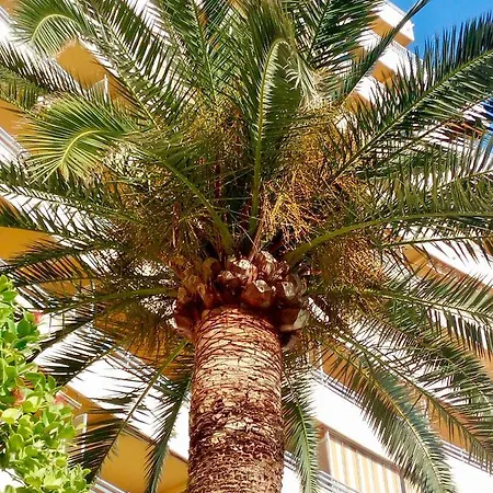 Voramar * Calp